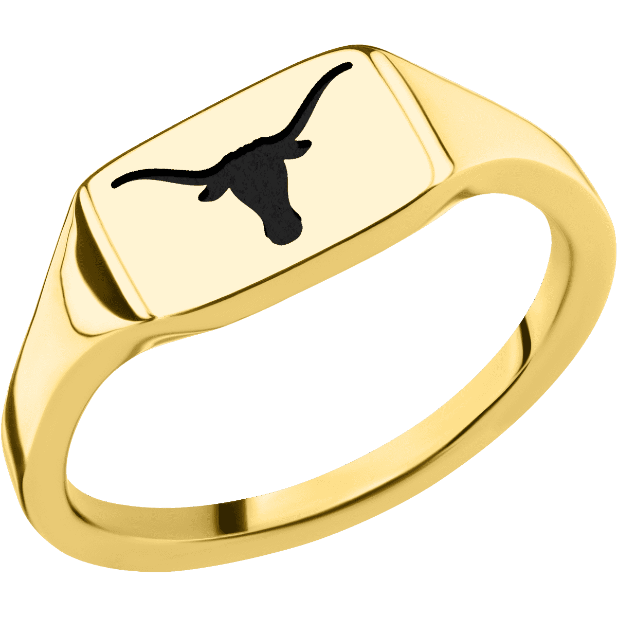 Small Horizontal Rectangle signet ring (12x9mm) in 14K Yellow Gold, with a Thin style band and a Texas Longhorn engraving.