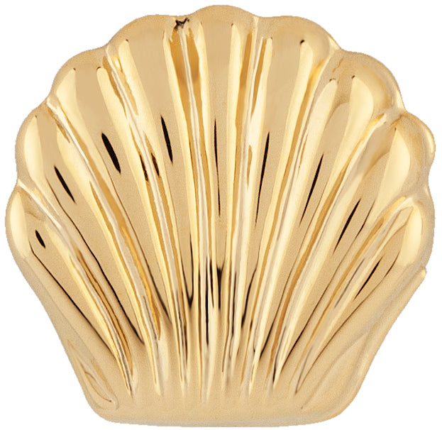 14K Yellow Gold Small Flat Sea Shell Studs
