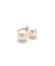 Bellman's Nucleated Fresh Water Pearl Studs