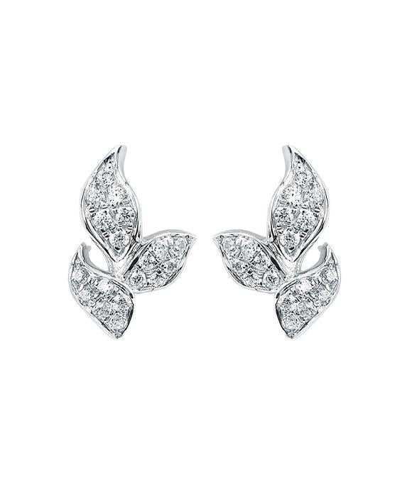 Ostbye - 14K White Gold Diamond Earrings